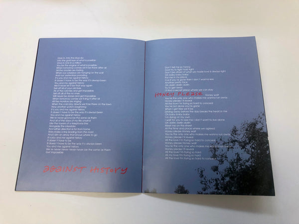 Dan Wilson - Free Life Lyric Booklet